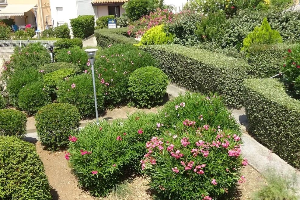 T2 CAP D'AGDE, Cap d'Agde — holiday rental French Riviera